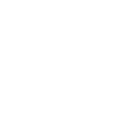 Zumbo Skool Logo White